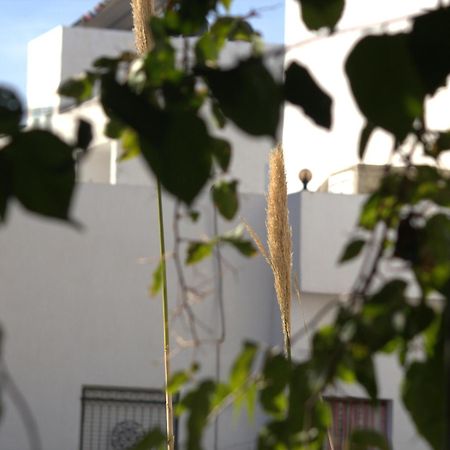 Residence Sterne Hammam al Ghazzaz Exterior photo