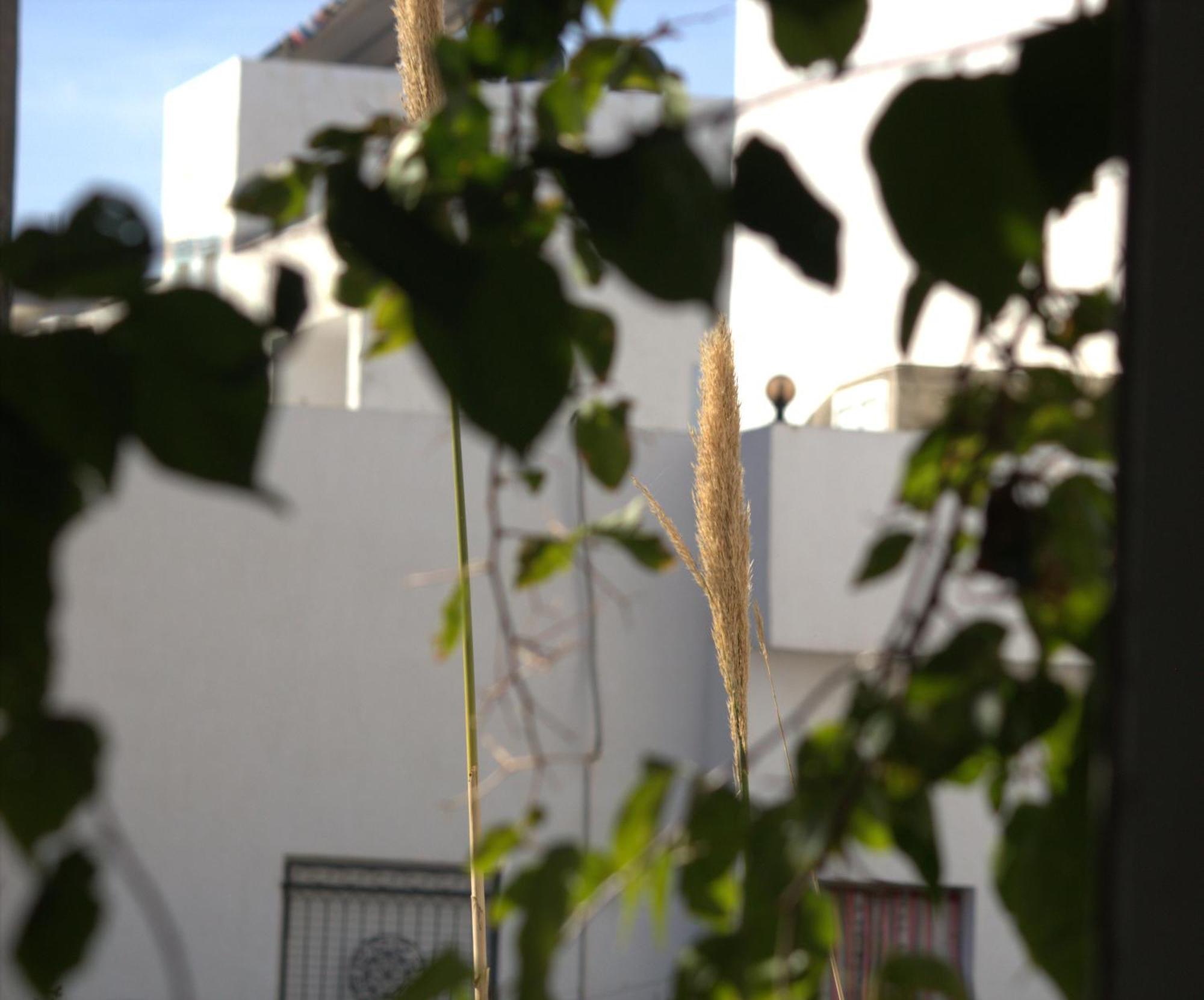 Residence Sterne Hammam al Ghazzaz Exterior photo