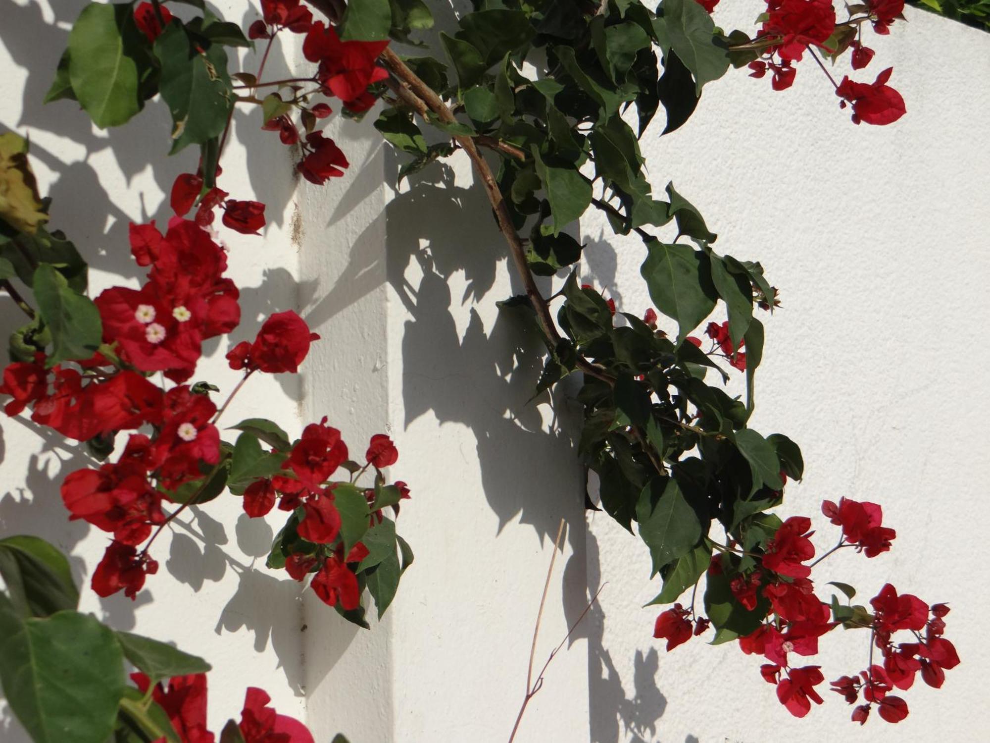 Residence Sterne Hammam al Ghazzaz Exterior photo